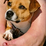 Рассудительный подход к программам лояльности без депозита