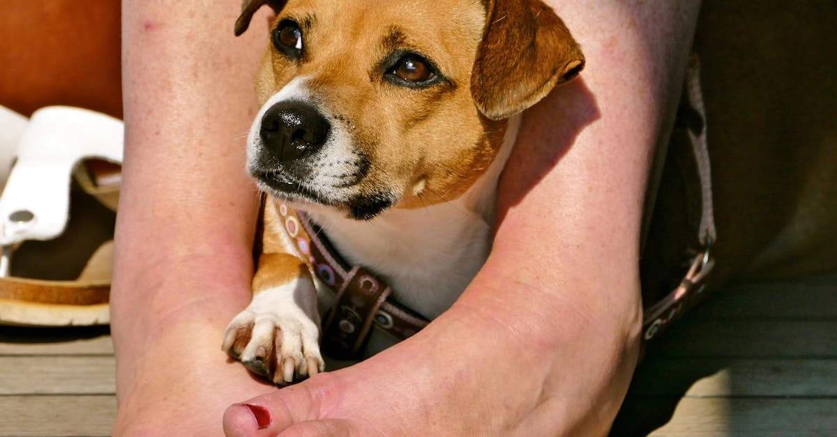 Рассудительный подход к программам лояльности без депозита